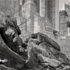 Christoph Radke, New York City,  Central Park, 2024